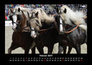 Die Welt der Pferde Fotokalender 2027 - 2