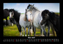 Die Welt der Pferde Fotokalender 2027 - 3