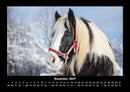 Welt der Pferde Fotokalender 2027 - 12