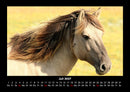 Welt der Pferde Fotokalender 2027 - 7