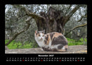 Für Katzenfreunde Fotokalender 2027 - 11