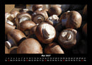 Pilzkalender Fotokalender 2027 - 5