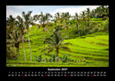 Palmentraum Fotokalender 2027 - 9