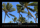 Palmentraum Fotokalender 2027 - 5