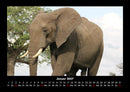 Elefanten - Die sanften Riesen Afrikas Fotokalender 2027 - 1