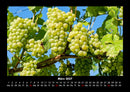 Obstkalender Fotokalender 2027 - 3