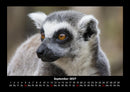 Tiere in der Wildnis Fotokalender 2027 - 9