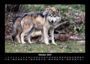 Tiere in der Wildnis Fotokalender 2027 - 10