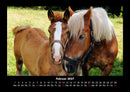 Die Welt der Pferde Fotokalender 2027 - 2