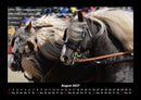 Die Welt der Pferde Fotokalender 2027 - 8