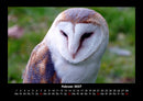 Welt der Vögel Fotokalender 2027 - 2