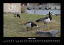 Welt der Vögel Fotokalender 2027 - 3