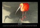 Welt der Vögel Fotokalender 2027 - 6