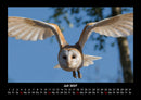 Welt der Vögel Fotokalender 2027 - 7