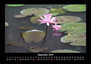 Rosen-Kalender Fotokalender 2027 - 9