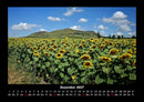 Blumenkalender Fotokalender 2027 - 12