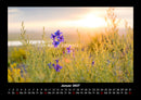 Blumenkalender Fotokalender 2027 - 1