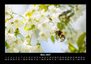 Blumenkalender Fotokalender 2027 - 3