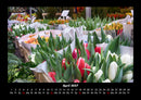 Blumenkalender Fotokalender 2027 - 4