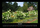 Blumenkalender Fotokalender 2027 - 6