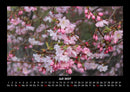 Blumenkalender Fotokalender 2027 - 7