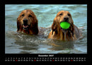 Hundezauber Fotokalender 2027 - 12