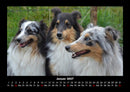 Hundezauber Fotokalender 2027 - 1