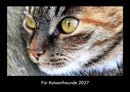 Für Katzenfreunde Fotokalender 2027 - Hauptbild