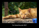 Für Katzenfreunde Fotokalender 2027 - Hauptbild