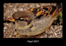 Vögel Fotokalender 2027 - Hauptbild