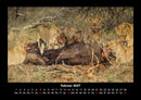 Welt der Tiere Fotokalender 2027 - 2