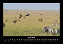 Welt der Tiere Fotokalender 2027 - 4