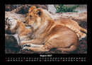 Welt der Tiere Fotokalender 2027 - 8