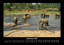 Elefanten - Die sanften Riesen Afrikas Fotokalender 2027 - 9