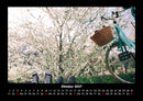 Blumenträume Fotokalender 2027 - 10