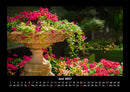 Blumenträume Fotokalender 2027 - 6