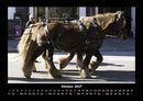 Pferde Kalender Fotokalender 2027 - 10