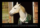 Pferde Kalender Fotokalender 2027 - 5