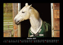 Pferde Kalender Fotokalender 2027 - 10