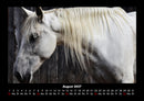 Pferde Kalender Fotokalender 2027 - 8
