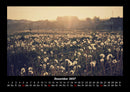 Blumenträume Fotokalender 2027 - 12