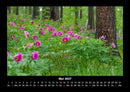 Blumenträume Fotokalender 2027 - 5