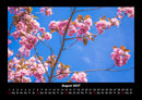 Blumenträume Fotokalender 2027 - 8