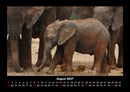 Welt der Tiere Fotokalender 2027 - 8