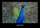 Vögel Fotokalender 2027 - Hauptbild