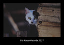 Für Katzenfreunde Fotokalender 2027 - Hauptbild