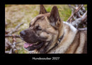 Hundezauber Fotokalender 2027 - Hauptbild
