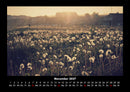 Blumenkalender Fotokalender 2027 - 11