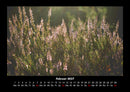Blumenkalender Fotokalender 2027 - 2