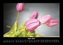 Blumenkalender Fotokalender 2027 - 3